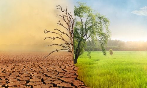 Der Einfluss von Klimawandel auf den Immobilienmarkt