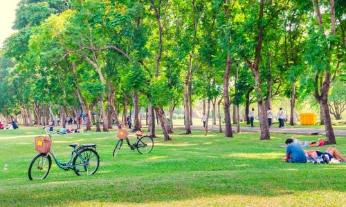 Die Bedeutung von Grünflächen und Parks bei der Immobilienbewertung